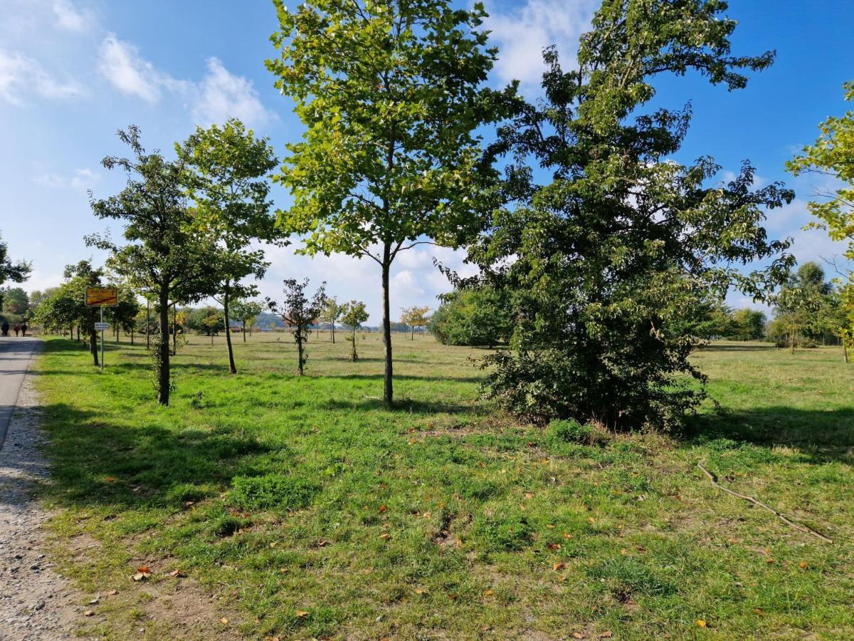 Heringsdorf - Moewe Zewnętrze zdjęcie